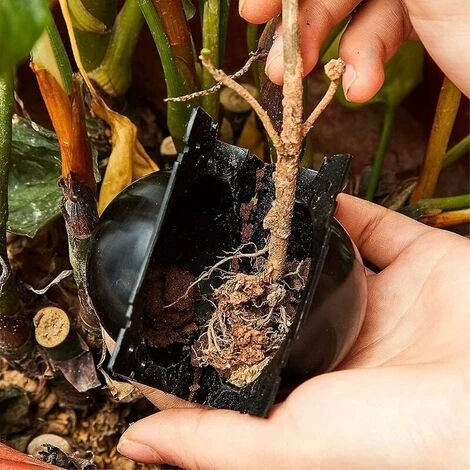 Germoir 15 Pièces Boule De Propagation De Boîte D'Enracinement Des Plantes, Boîte De Greffe Boîte De Balle De Propagation à Haute Pression Dispositif D'Enracinement Des Plantes (l+m+s, Noir) 4 Germoir 15 Pièces Boule De Propagation De Boîte D'Enracinement Des Plantes, Boîte De Greffe Boîte De Balle De Propagation à Haute Pression Dispositif D'Enracinement Des Plantes (l+m+s, Noir) – Image 4