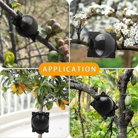 Germoir 15 Pièces Boule De Propagation De Boîte D'Enracinement Des Plantes, Boîte De Greffe Boîte De Balle De Propagation à Haute Pression Dispositif D'Enracinement Des Plantes (l+m+s, Noir) 5 Germoir 15 Pièces Boule De Propagation De Boîte D'Enracinement Des Plantes, Boîte De Greffe Boîte De Balle De Propagation à Haute Pression Dispositif D'Enracinement Des Plantes (l+m+s, Noir) – Image 5