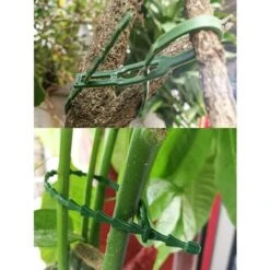 Lot De 60 Attaches Réglables Pour Plantes Vertes - 23 Cm - Polyvalentes - Robustes - En Plastique - Pour Le Jardin, Les Plantes, Les Arbres -Terre Tendre Soldes Boutique 90716922 4
