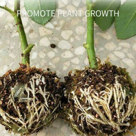 Enracinement De Plantes, Bote De Croissance Enracinement, Sac De Semis, étui De Culture, Bote De Propagation à Haute Pression Pour Plantes De Jardin,5 Trumpette Noire 5cm 4 Enracinement De Plantes, Bote De Croissance Enracinement, Sac De Semis, étui De Culture, Bote De Propagation à Haute Pression Pour Plantes De Jardin,5 Trumpette Noire 5cm – Image 4