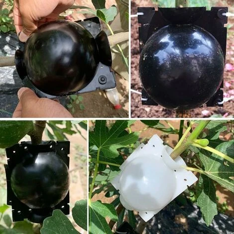 Enracinement De Plantes, Bote De Croissance Enracinement, Sac De Semis, étui De Culture, Bote De Propagation à Haute Pression Pour Plantes De Jardin,5 Trumpette Noire 5cm 5 Enracinement De Plantes, Bote De Croissance Enracinement, Sac De Semis, étui De Culture, Bote De Propagation à Haute Pression Pour Plantes De Jardin,5 Trumpette Noire 5cm – Image 5