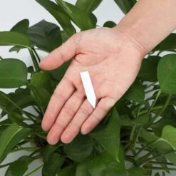 200 Pièces 5 X 1 Cm Petites étiquettes Blanches De Plantes, Marqueurs De Jardin En Plastique 7 200 Pièces 5 X 1 Cm Petites étiquettes Blanches De Plantes, Marqueurs De Jardin En Plastique -Terre Tendre Soldes Boutique 90716997 3