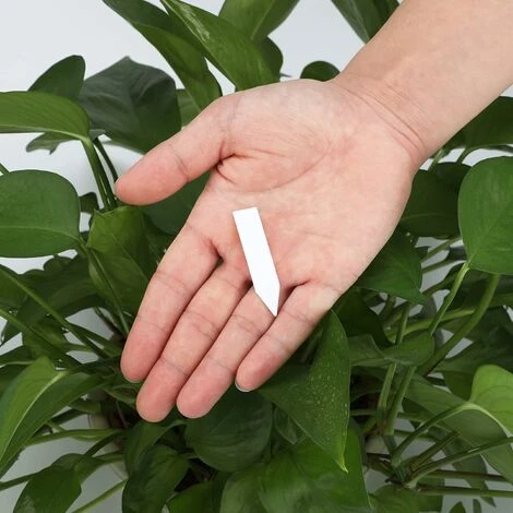 200 Pièces 5 X 1 Cm Petites étiquettes Blanches De Plantes, Marqueurs De Jardin En Plastique 3 200 Pièces 5 X 1 Cm Petites étiquettes Blanches De Plantes, Marqueurs De Jardin En Plastique – Image 3