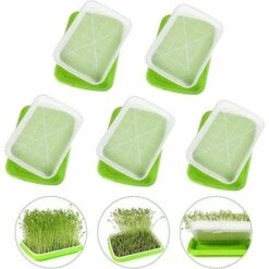 5 Pièces Plateau De Germination, Bac à Semis, Plateau Semis, Plateau De Propagateur De Graines, Germinateur, Pour La Plantation Germes Soja Et Germes Haricot Mungo