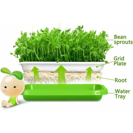 5 Pièces Plateau De Germination, Bac à Semis, Plateau Semis, Plateau De Propagateur De Graines, Germinateur, Pour La Plantation Germes Soja Et Germes Haricot Mungo 4 5 Pièces Plateau De Germination, Bac à Semis, Plateau Semis, Plateau De Propagateur De Graines, Germinateur, Pour La Plantation Germes Soja Et Germes Haricot Mungo – Image 4