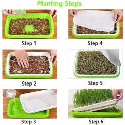 5 Pièces Plateau De Germination, Bac à Semis, Plateau Semis, Plateau De Propagateur De Graines, Germinateur, Pour La Plantation Germes Soja Et Germes Haricot Mungo 9 5 Pièces Plateau De Germination, Bac à Semis, Plateau Semis, Plateau De Propagateur De Graines, Germinateur, Pour La Plantation Germes Soja Et Germes Haricot Mungo -Terre Tendre Soldes Boutique 90716999 5