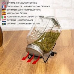 6 Pièces - 4 Couvercles En Acier Inoxydable Et 2 Supports - Kit Germination Graine Pour Pots à Large Ouverture Pour Germes De Graines, Brocoli, Luzerne, Haricot 9 6 Pièces - 4 Couvercles En Acier Inoxydable Et 2 Supports - Kit Germination Graine Pour Pots à Large Ouverture Pour Germes De Graines, Brocoli, Luzerne, Haricot -Terre Tendre Soldes Boutique 90718011 5