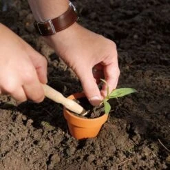 ESSCHERT DESIGN Mini Plantoir En Bois -Terre Tendre Soldes Boutique 91732999 3