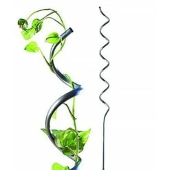 Lot De 10 Tuteurs Spirales Pour Tomates - En Acier - Hauteur : 180 Cm