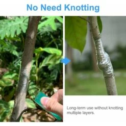 Greffage Ruban, 2 Pièces 2cm100M Rubans De Greffage, Pepiniere Greffage Ruban Etirable Auto Adhesive Biodegradables, Greffe Ruban Adhésif Sans Danger Et Respectueux De L'environnement (Vert) 7 Greffage Ruban, 2 Pièces 2cm100M Rubans De Greffage, Pepiniere Greffage Ruban Etirable Auto Adhesive Biodegradables, Greffe Ruban Adhésif Sans Danger Et Respectueux De L'environnement (Vert) -Terre Tendre Soldes Boutique 92400548 3