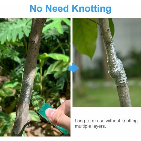 Greffage Ruban, 2 Pièces 2cm100M Rubans De Greffage, Pepiniere Greffage Ruban Etirable Auto Adhesive Biodegradables, Greffe Ruban Adhésif Sans Danger Et Respectueux De L'environnement (Vert) 3 Greffage Ruban, 2 Pièces 2cm100M Rubans De Greffage, Pepiniere Greffage Ruban Etirable Auto Adhesive Biodegradables, Greffe Ruban Adhésif Sans Danger Et Respectueux De L'environnement (Vert) – Image 3