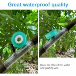 Greffage Ruban, 2 Pièces 2cm100M Rubans De Greffage, Pepiniere Greffage Ruban Etirable Auto Adhesive Biodegradables, Greffe Ruban Adhésif Sans Danger Et Respectueux De L'environnement (Vert) 8 Greffage Ruban, 2 Pièces 2cm100M Rubans De Greffage, Pepiniere Greffage Ruban Etirable Auto Adhesive Biodegradables, Greffe Ruban Adhésif Sans Danger Et Respectueux De L'environnement (Vert) -Terre Tendre Soldes Boutique 92400548 4