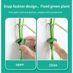 10pcs Fixation Murale Invisible Pour Plantes Grimpantes, Support De Vigne En Rotin Avec Boucle Fixe, Clips à Feuilles, Support De Traction Pour Jardin -Terre Tendre Soldes Boutique 92855574 3