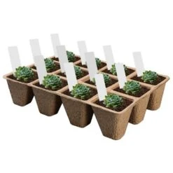 10 Pièces Plateau Semis Réutilisable Godet Semis Biodegradable,Pots En Tourbe Pour Semis,Bac De Semis Pour Plantes,Godet Semis,Cellulose,Pot Jardinage,Pépinière,Plante Conteneur,Mini Serre Semis -Terre Tendre Soldes Boutique 92923428 3