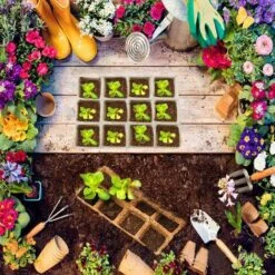 10 Pièces Plateau Semis Réutilisable Godet Semis Biodegradable,Pots En Tourbe Pour Semis,Bac De Semis Pour Plantes,Godet Semis,Cellulose,Pot Jardinage,Pépinière,Plante Conteneur,Mini Serre Semis -Terre Tendre Soldes Boutique 92923428 5