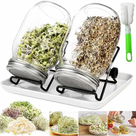 Bocaux à Germer De, 950 ML Germoir En Verre Avec, Germoir Pour Graines à Germer, 2 Grilles, 2 Supports, 1 Bol De Germination, Bocal à Germes Pour Brocoli, Eau CéLeri, Luzerne, Haricots Verts 1 Bocaux à Germer De, 950 ML Germoir En Verre Avec, Germoir Pour Graines à Germer, 2 Grilles, 2 Supports, 1 Bol De Germination, Bocal à Germes Pour Brocoli, Eau CéLeri, Luzerne, Haricots Verts