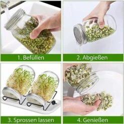 Bocaux à Germer De, 950 ML Germoir En Verre Avec, Germoir Pour Graines à Germer, 2 Grilles, 2 Supports, 1 Bol De Germination, Bocal à Germes Pour Brocoli, Eau CéLeri, Luzerne, Haricots Verts 7 Bocaux à Germer De, 950 ML Germoir En Verre Avec, Germoir Pour Graines à Germer, 2 Grilles, 2 Supports, 1 Bol De Germination, Bocal à Germes Pour Brocoli, Eau CéLeri, Luzerne, Haricots Verts -Terre Tendre Soldes Boutique 93348722 3