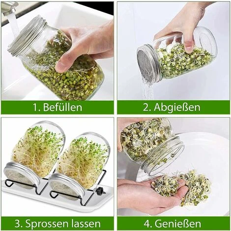 Bocaux à Germer De, 950 ML Germoir En Verre Avec, Germoir Pour Graines à Germer, 2 Grilles, 2 Supports, 1 Bol De Germination, Bocal à Germes Pour Brocoli, Eau CéLeri, Luzerne, Haricots Verts 3 Bocaux à Germer De, 950 ML Germoir En Verre Avec, Germoir Pour Graines à Germer, 2 Grilles, 2 Supports, 1 Bol De Germination, Bocal à Germes Pour Brocoli, Eau CéLeri, Luzerne, Haricots Verts – Image 3