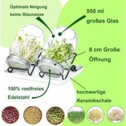 Bocaux à Germer De, 950 ML Germoir En Verre Avec, Germoir Pour Graines à Germer, 2 Grilles, 2 Supports, 1 Bol De Germination, Bocal à Germes Pour Brocoli, Eau CéLeri, Luzerne, Haricots Verts 8 Bocaux à Germer De, 950 ML Germoir En Verre Avec, Germoir Pour Graines à Germer, 2 Grilles, 2 Supports, 1 Bol De Germination, Bocal à Germes Pour Brocoli, Eau CéLeri, Luzerne, Haricots Verts -Terre Tendre Soldes Boutique 93348722 4