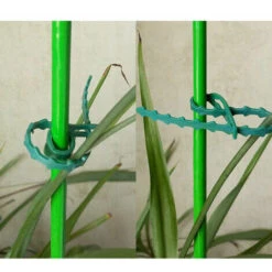 100 Pcs Accroche Tuteurs Pour Tomates Arbres Serre-câble Lien En Plastique Réutilisables Attache Plante Pour Arbustes Jardinage 7 100 Pcs Accroche Tuteurs Pour Tomates Arbres Serre-câble Lien En Plastique Réutilisables Attache Plante Pour Arbustes Jardinage -Terre Tendre Soldes Boutique 93459335 3