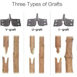 Ciseaux De Greffage, Professionnels Pince Manuelle Sécateurs Outils De Jardinage, Parfaits Pour L’élagage Et Le Greffage D’Arbres Fruitiers Et Plantes, Avec Couteau à Greffer Et Accessoires -Terre Tendre Soldes Boutique 93897602 5