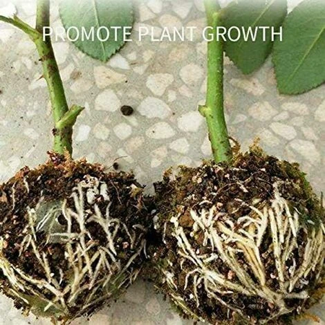 5Cm Plant Rooting Equipment High Pressure Propagation Ball Grefting Box Semis Box Plants 2 5Cm Plant Rooting Equipment High Pressure Propagation Ball Grefting Box Semis Box Plants – Image 2