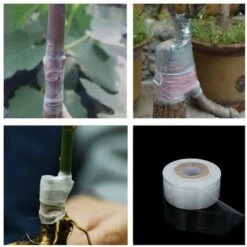 Set De 3 Rouleaux De Ruban De Greffe D'arbres Fruitiers, Fournitures De Pépinière, Outils De Greffe, 120 M (3 Rouleaux Blancs) -Terre Tendre Soldes Boutique 94926770 3