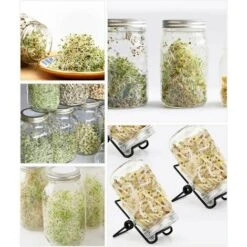 Couvercles De Germination, Écran De Germination En Acier Inoxydable 4Pcs Avec 2 Pcs Supports De Germination, Germoir Couvercle Rond Pour Fabriquer Des Graines Et Des Germes Biologiques, 9 Couvercles De Germination, Écran De Germination En Acier Inoxydable 4Pcs Avec 2 Pcs Supports De Germination, Germoir Couvercle Rond Pour Fabriquer Des Graines Et Des Germes Biologiques, -Terre Tendre Soldes Boutique 95125531 5