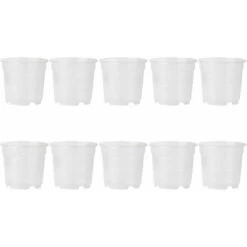 10 VASES POUR ORCHIDÉES Ø21CM TRANSPARENT