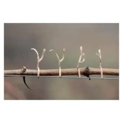 RAPID - Lien PAPIER Armé - Bobine 100m - Boite De 12pcs -Terre Tendre Soldes Boutique 95415927 4