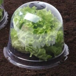 NICEON Cloches à Salades Plastique - Lot De 6 -Terre Tendre Soldes Boutique 95791638 4