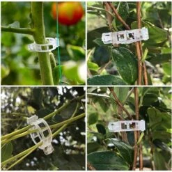 100 Pièces Clips De Support De Plantes, Clips Pour Les Légumes, Pinces à Plantes En Plastique, Clips De Fixation Pour Plantes De Jardin, Clip Pour Tomates, Plants De Vignes, Légumes, Blanc H151 -Terre Tendre Soldes Boutique 95979765 4