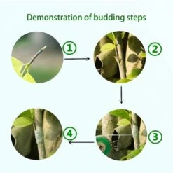 Greffoir Et Pince à Greffer　Ruban De Greffage, Ruban De Greffage Transparent à 2 Rouleaux 2.5cm, Ruban Extensible Pour Greffe De Pied, Ruban De Greffe De Greffe D'arbres De Jardin De Réparation De Pla -Terre Tendre Soldes Boutique 96339494 3