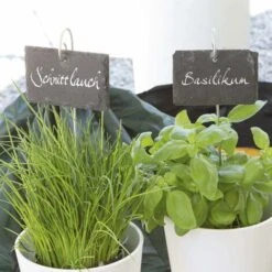 Étiquettes Plantes En Ardoise - Set De 10 Résistant Aux Intempéries, Réutilisable Inscription Individuelle De Plantes & Herbes Avec Piquets De Terre En Acier 10 X 7 X 0,5 Cm [Carrés] -Terre Tendre Soldes Boutique 96363085 4