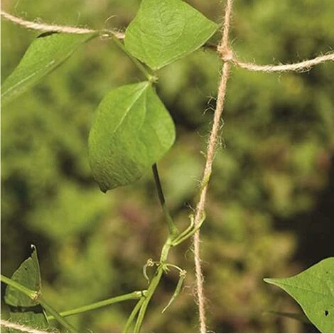 Filet De Soutien En Jute Naturelle Pour Plantes Grimpantes 2 Filet De Soutien En Jute Naturelle Pour Plantes Grimpantes – Image 2