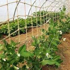 Filet De Soutien En Jute Naturelle Pour Plantes Grimpantes 7 Filet De Soutien En Jute Naturelle Pour Plantes Grimpantes -Terre Tendre Soldes Boutique 96499974 3