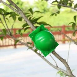 15 Pièces Boîte D'Enracinement De Plante Balle De Propagation, Boîte De Greffage Boîte Boule De Propagation Haute Pression Dispositif D'enracinement Des Plantes (L+M+S, Vert) -Terre Tendre Soldes Boutique 96955514 3