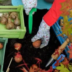 Plantoir En Lot De 3, Plastique, Avec échelle, Poignée En T Pratique, Outil Jardin, Canne à Planter, Vert -Terre Tendre Soldes Boutique 96955522 3