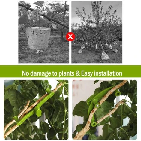 Lot De 20 Pinces à Cintrer Réglables à 360 Degrés Pour Plantes - Pour Bonsaï, élagage, Tirage Et Façonnage Des Branches D'arbres Fruitiers 3 Lot De 20 Pinces à Cintrer Réglables à 360 Degrés Pour Plantes - Pour Bonsaï, élagage, Tirage Et Façonnage Des Branches D'arbres Fruitiers – Image 3