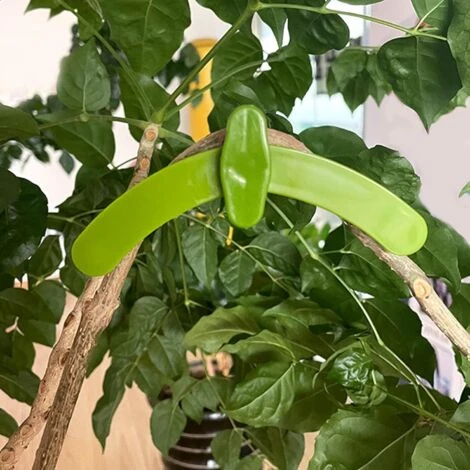 Lot De 20 Pinces à Cintrer Réglables à 360 Degrés Pour Plantes - Pour Bonsaï, élagage, Tirage Et Façonnage Des Branches D'arbres Fruitiers 5 Lot De 20 Pinces à Cintrer Réglables à 360 Degrés Pour Plantes - Pour Bonsaï, élagage, Tirage Et Façonnage Des Branches D'arbres Fruitiers – Image 5