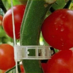 100PCS Support De Plantes Clips De Jardin Clips De Tomate Prend En Charge / Relie Les Plantes / Ficelle / Vignes Treillis / Cages Plante Vigne Clip De Fixation De Légumes Outils De Greffage Pour Que L -Terre Tendre Soldes Boutique 97221456 3