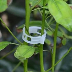 100PCS Support De Plantes Clips De Jardin Clips De Tomate Prend En Charge / Relie Les Plantes / Ficelle / Vignes Treillis / Cages Plante Vigne Clip De Fixation De Légumes Outils De Greffage Pour Que L -Terre Tendre Soldes Boutique 97221456 5