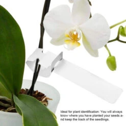 Lot De 200 Étiquettes En Plastique Pour Plantes De Jardin 8 Lot De 200 Étiquettes En Plastique Pour Plantes De Jardin -Terre Tendre Soldes Boutique 97536759 4