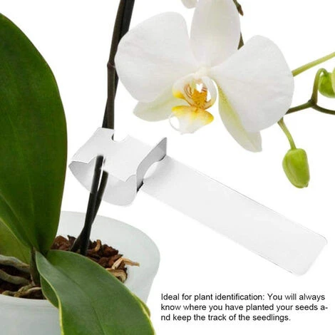 Lot De 200 Étiquettes En Plastique Pour Plantes De Jardin 4 Lot De 200 Étiquettes En Plastique Pour Plantes De Jardin – Image 4
