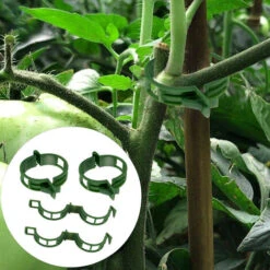 Lot De 100 Clips De Support Pour Plantes, Clips De Support De Jardin, Clips De Jardin, Vigne, Vigne De Tomate, Légumes, Plantes, Treillis Pour Pousser à La Verticale, Rend Les Plantes Plus Saines. -Terre Tendre Soldes Boutique 97640974 3