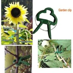 40 PCS Clips De Support Réglable Pour Plantes Caches De Tuteurs De Jardin Structure De Support Attache Pour Jardin, Vigne, Légumes, Tomates( Grands Clips Et Petits Clips). 7 40 PCS Clips De Support Réglable Pour Plantes Caches De Tuteurs De Jardin Structure De Support Attache Pour Jardin, Vigne, Légumes, Tomates( Grands Clips Et Petits Clips). -Terre Tendre Soldes Boutique 97852205 3