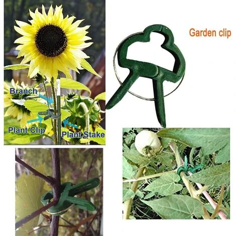40 PCS Clips De Support Réglable Pour Plantes Caches De Tuteurs De Jardin Structure De Support Attache Pour Jardin, Vigne, Légumes, Tomates( Grands Clips Et Petits Clips). 3 40 PCS Clips De Support Réglable Pour Plantes Caches De Tuteurs De Jardin Structure De Support Attache Pour Jardin, Vigne, Légumes, Tomates( Grands Clips Et Petits Clips). – Image 3