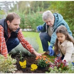 48Pcs Plug-in Piège à Mouches Plaques Jaunes Autocollant Jaune Plante De Protection Contre Les Pucerons, Les Mouches Des Feuilles Et La Vermine 9 48Pcs Plug-in Piège à Mouches Plaques Jaunes Autocollant Jaune Plante De Protection Contre Les Pucerons, Les Mouches Des Feuilles Et La Vermine -Terre Tendre Soldes Boutique 98597988 5