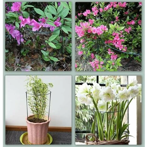Tuteur Pour Végétaux 10x Tuteurs Pour Plantes, Piquets Verts Demi-Ronds Support Plantes Plante,Aidez Vos à Pousser - Anneau De Plante Pieux Hortensias,Pivoines,Plantes Vivaces(25cmx40cm), 25x40cm-10 P 5 Tuteur Pour Végétaux 10x Tuteurs Pour Plantes, Piquets Verts Demi-Ronds Support Plantes Plante,Aidez Vos à Pousser - Anneau De Plante Pieux Hortensias,Pivoines,Plantes Vivaces(25cmx40cm), 25x40cm-10 P – Image 5