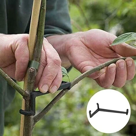 Épandeur De Branche, 20pcs Épandeur De Branche De Fruits Résistant à La Pression Épandeur De Branche D'Arbre En Plastique De Haute Dureté Pour La Plupart Des Fournitures D'Arbres 3 Épandeur De Branche, 20pcs Épandeur De Branche De Fruits Résistant à La Pression Épandeur De Branche D'Arbre En Plastique De Haute Dureté Pour La Plupart Des Fournitures D'Arbres – Image 3